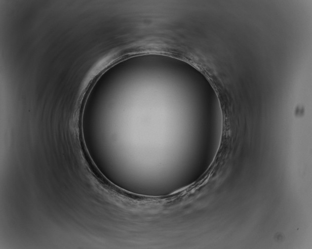 X0000102540004200808081532