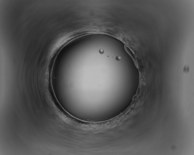 X0000102540005200808081532