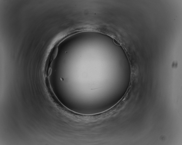 X0000102540006200808081532
