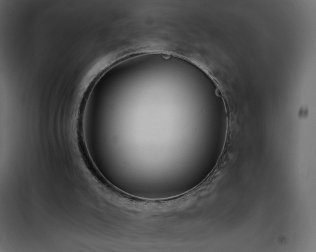 X0000102540007200808081532