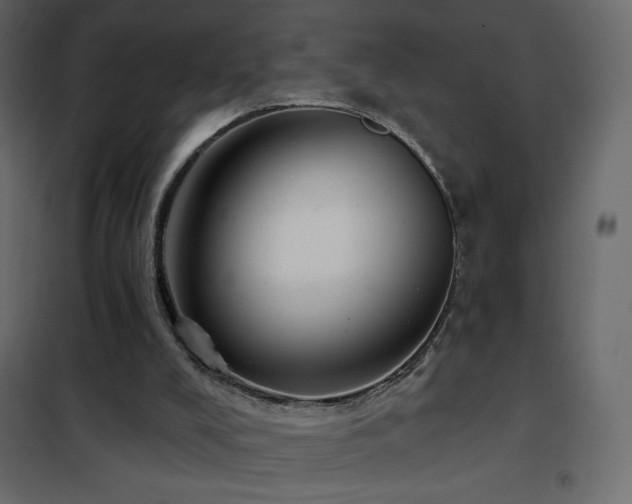 X0000102540008200808081532