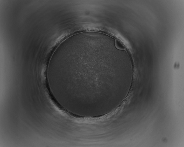 X0000102540009200808081532