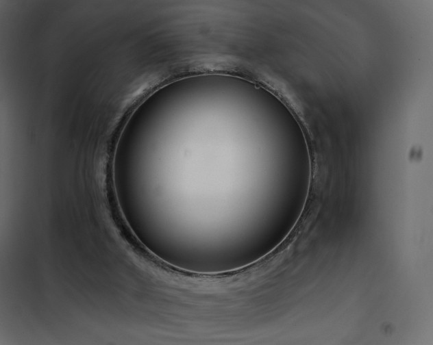 X0000102540010200808081532