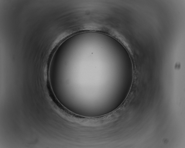 X0000102540011200808081532