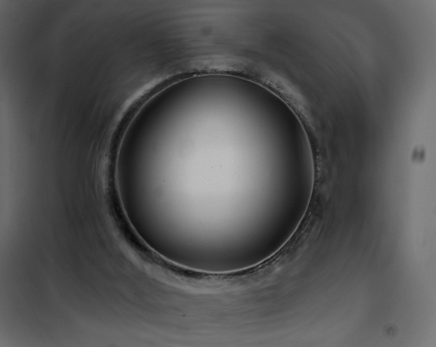 X0000102540012200808081532