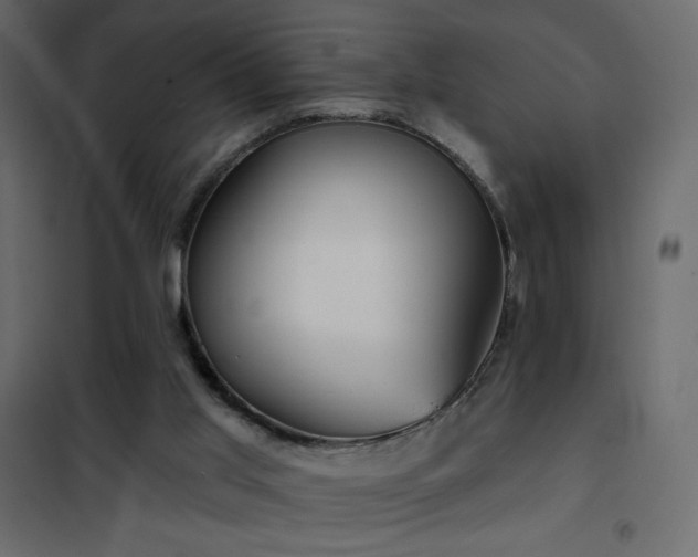 X0000102540013200808081532
