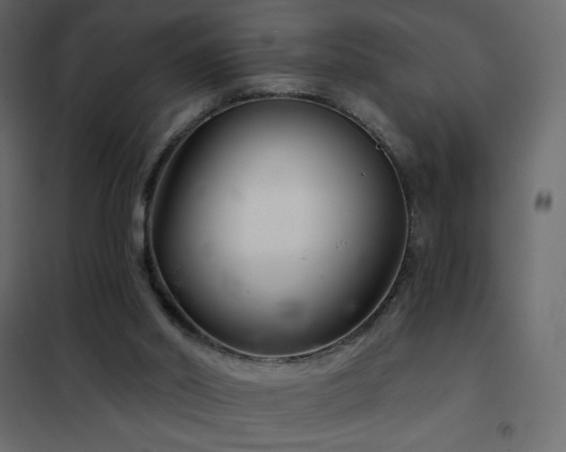 X0000102540014200808081532