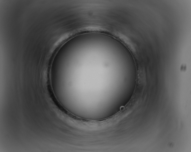 X0000102540015200808081532