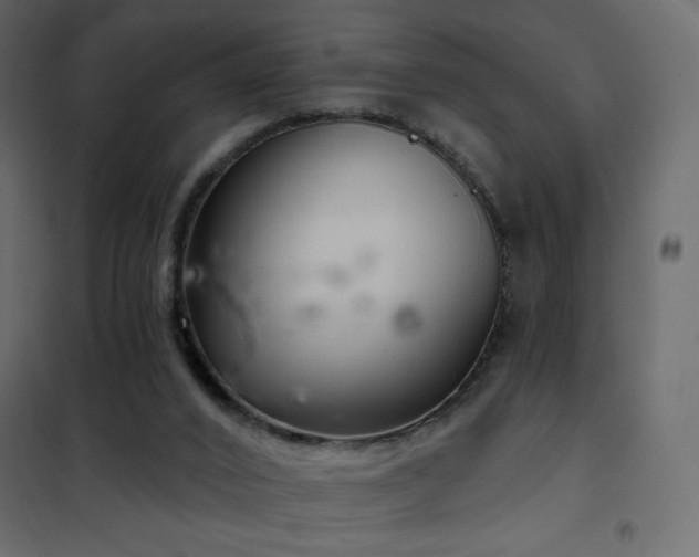 X0000102540016200808081532