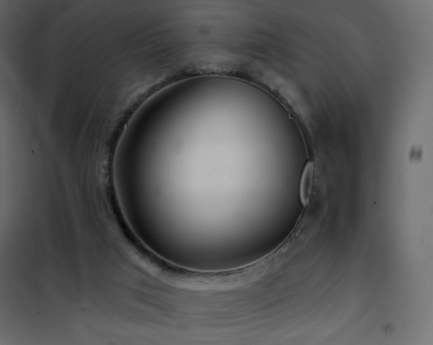 X0000102540017200808081532
