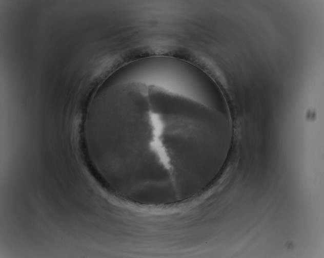 X0000102540018200808081532