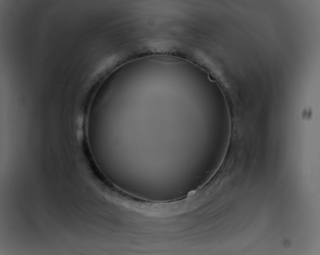 X0000102540019200808081532