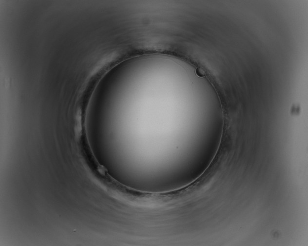 X0000102540020200808081532