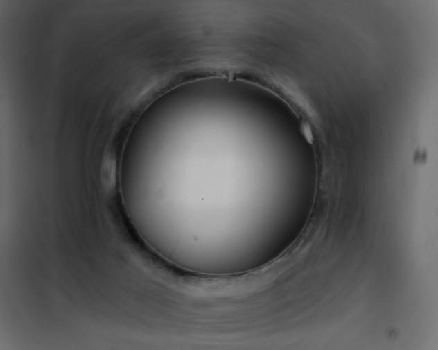 X0000102540021200808081532