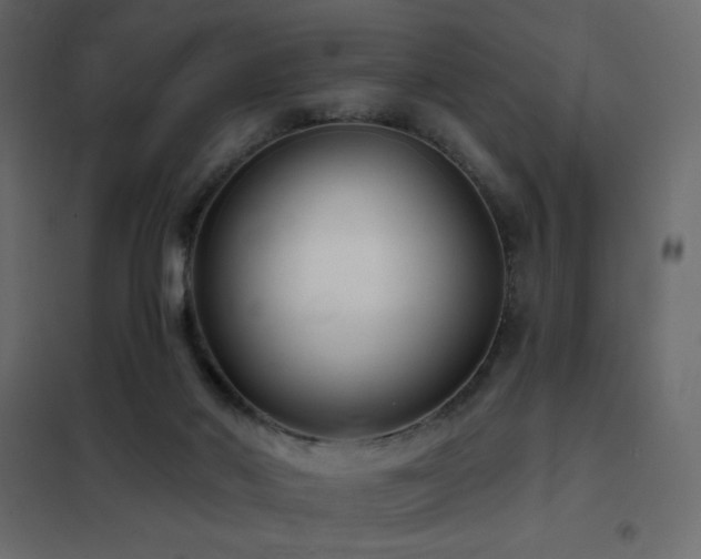 X0000102540022200808081532