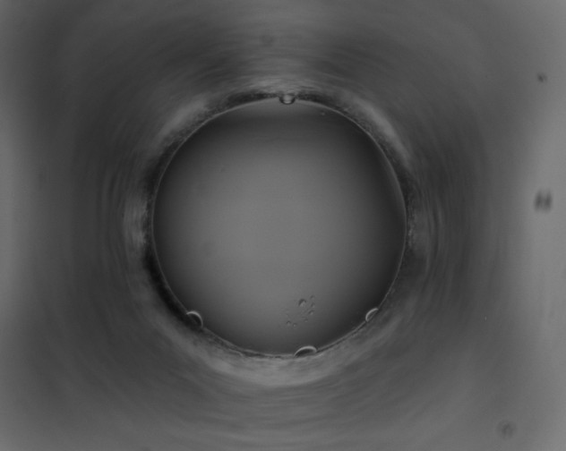 X0000102540023200808081532