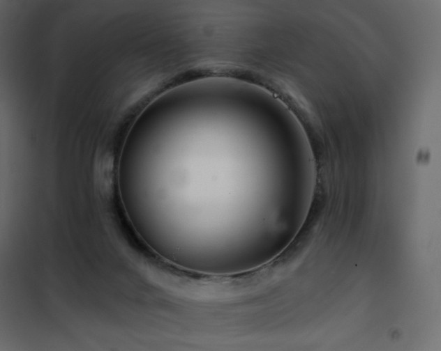 X0000102540024200808081532