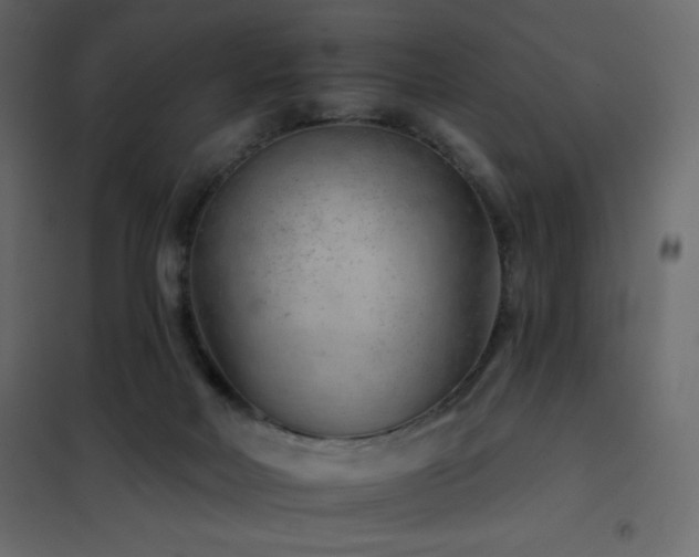 X0000102540026200808081532