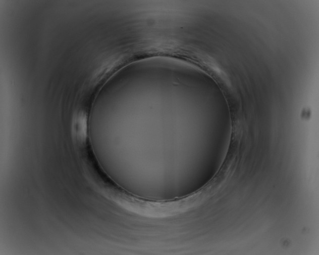 X0000102540027200808081532