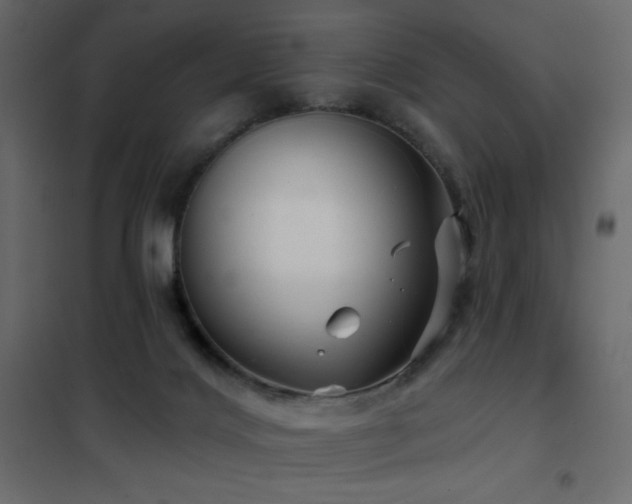 X0000102540028200808081532