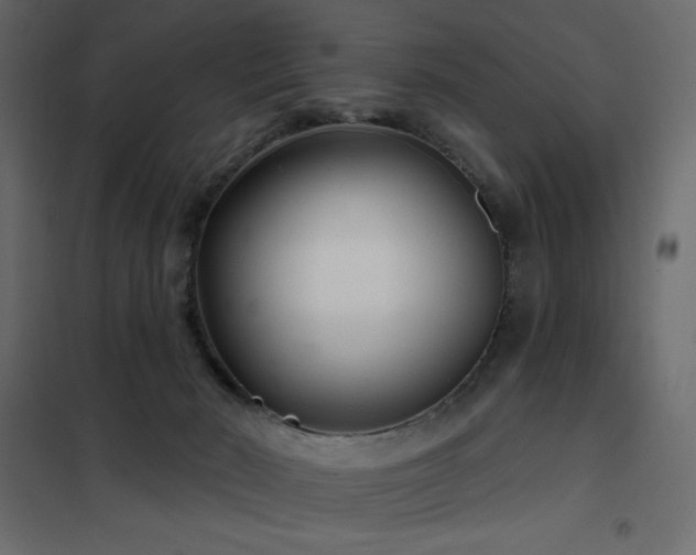 X0000102540030200808081532