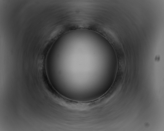 X0000102540032200808081532