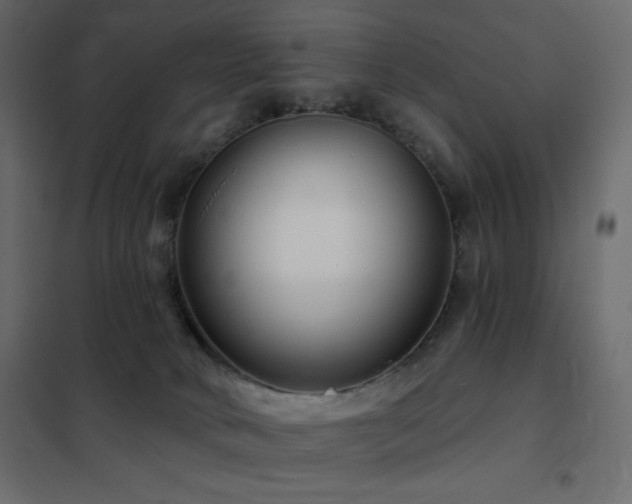 X0000102540034200808081532