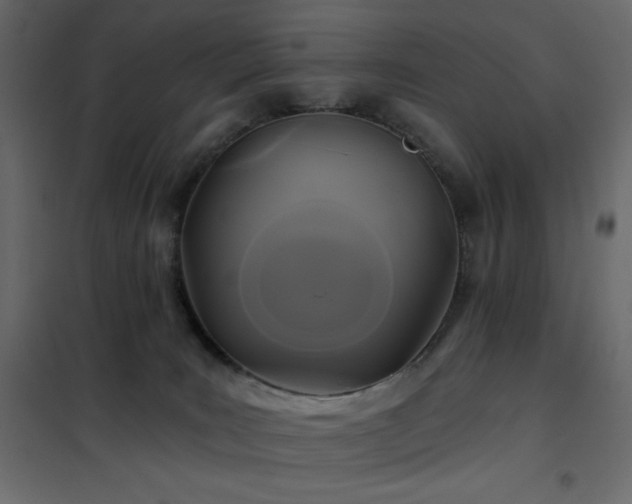 X0000102540035200808081532