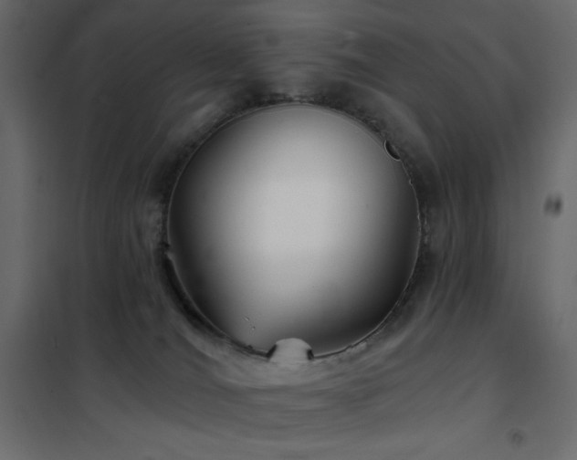 X0000102540036200808081532