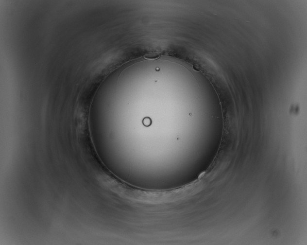 X0000102540037200808081532