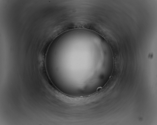X0000102540038200808081532