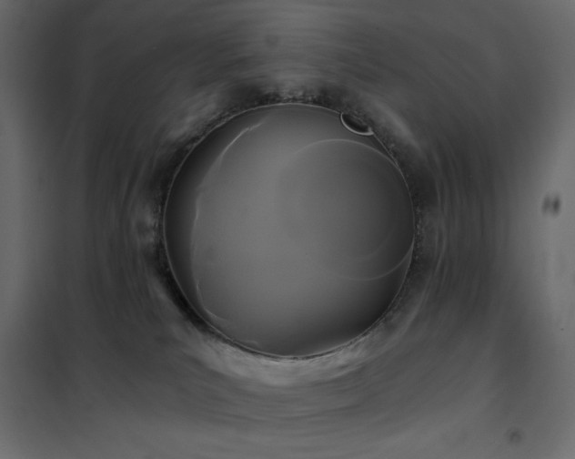 X0000102540039200808081532
