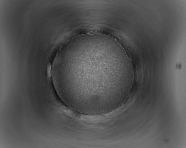 X0000102540041200808081532