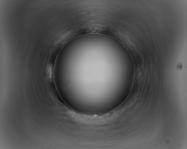 X0000102540042200808081532