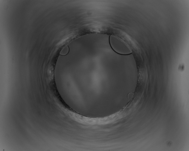 X0000102540043200808081532