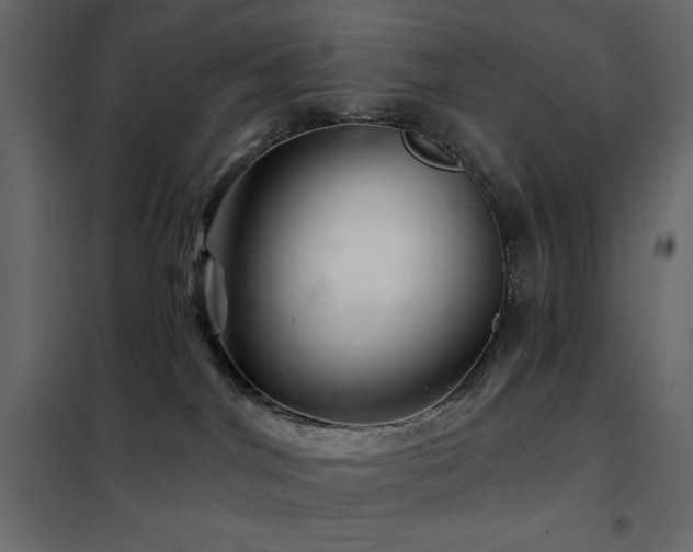 X0000102540044200808081531