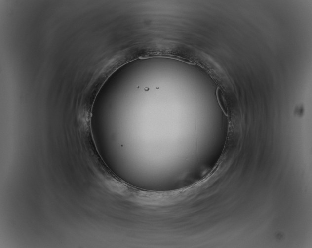 X0000102540045200808081531