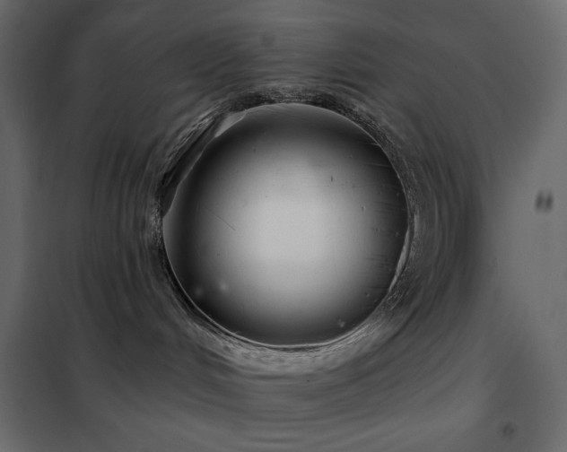 X0000102540048200808081531