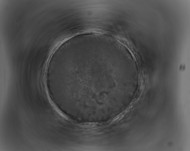 X0000102540049200808081531