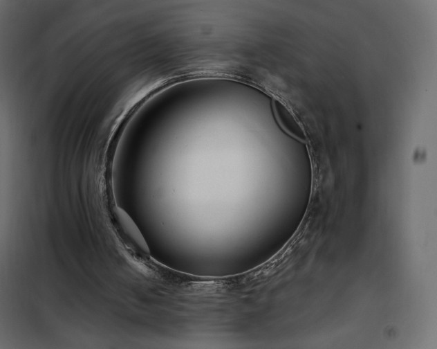 X0000102540050200808081531