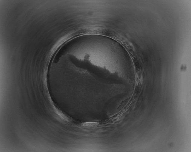 X0000102540051200808081531