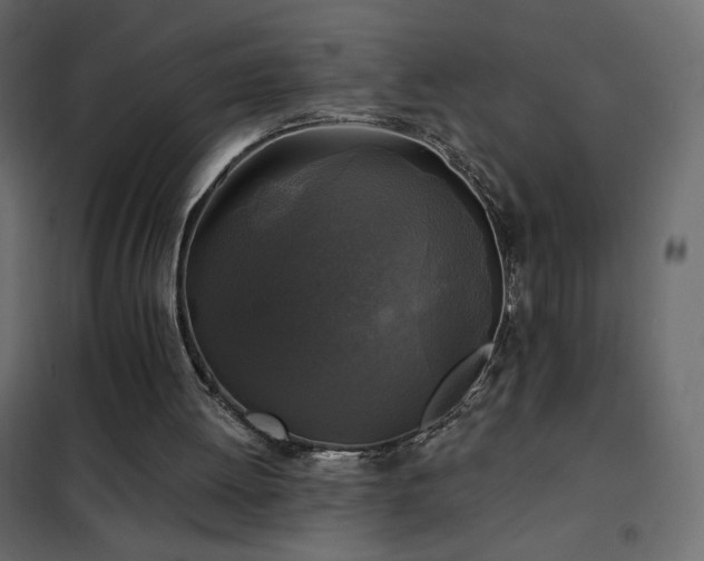 X0000102540052200808081531