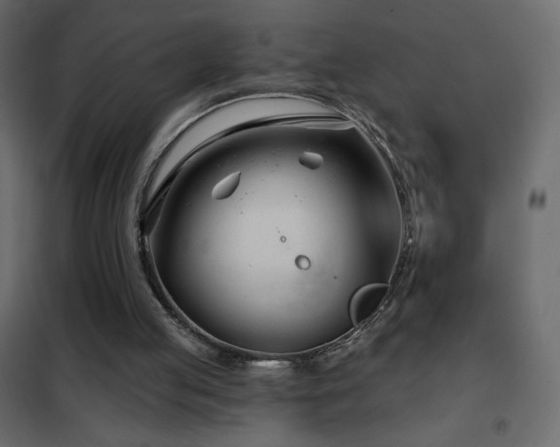 X0000102540053200808081531