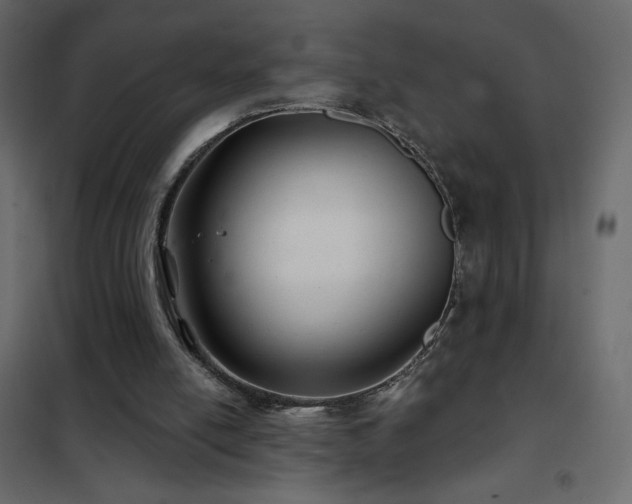 X0000102540054200808081531
