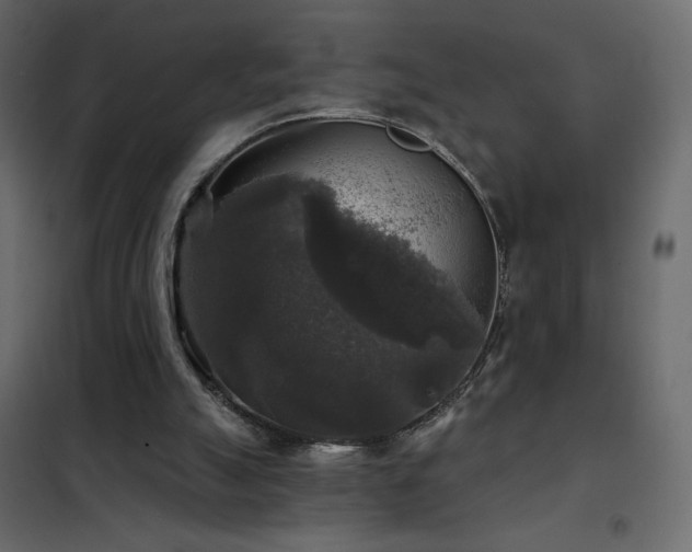 X0000102540055200808081531