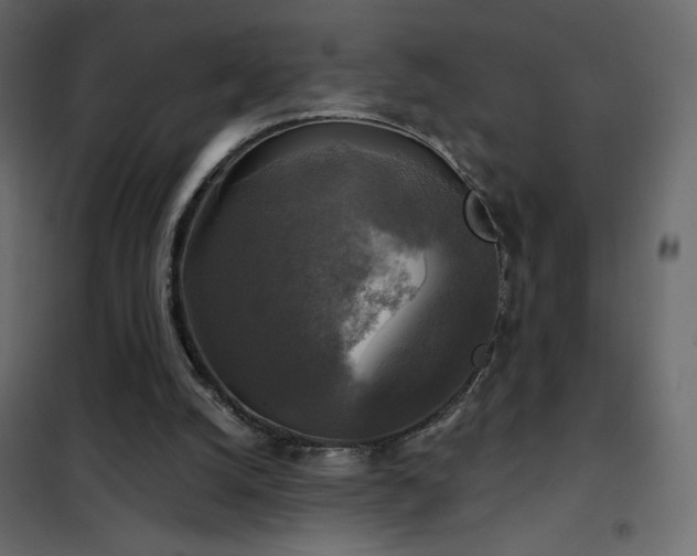 X0000102540056200808081531