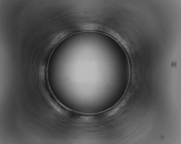 X0000102540057200808081531