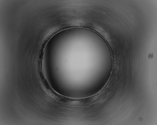 X0000102540058200808081531