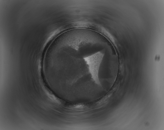 X0000102540059200808081531
