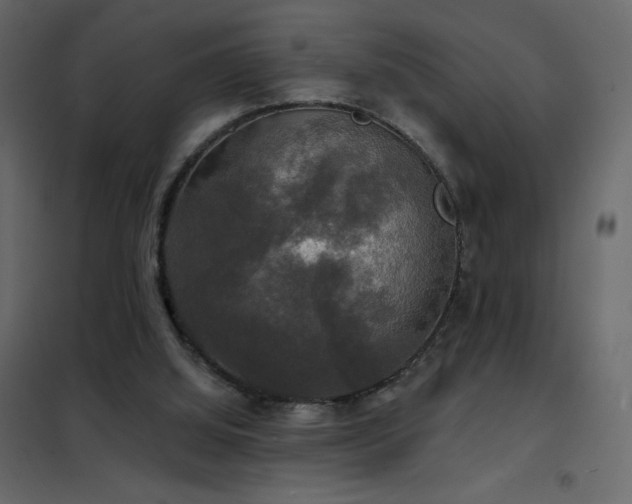 X0000102540060200808081531